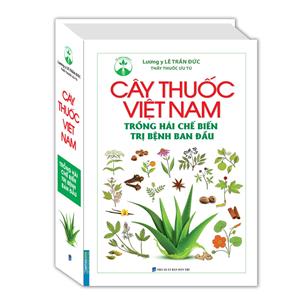 Cây thuốc Việt Nam trồng hái chế biến trị bệnh ban đầu (bìa cứng)